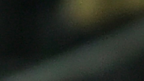 Vincent Janssen marcó un hat-trick y se llevó el balón de recuerdo.
