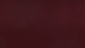 Chivas tuvo una convivencia especial previa a la última jornada del Apertura 2019.