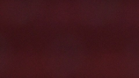 Chivas tuvo una convivencia especial previa a la última jornada del Apertura 2019.