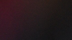 Los chivahermanos siguen soñando con la fiesta grande.