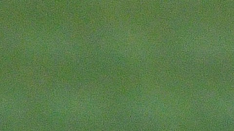 La primera parte ha sido muy pareja entre ambas escuadras.