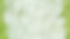 Fueron homenajeados los integrantes de la selección Sub 17 que lograron el subcampeonato en el Mundial en Brasil.