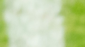 Fueron homenajeados los integrantes de la selección Sub 17 que lograron el subcampeonato en el Mundial en Brasil.