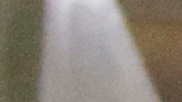 El gobernador de Morelos alentó a los jugadores.