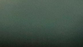 Alan Pulido obtuvo el título de goleo.