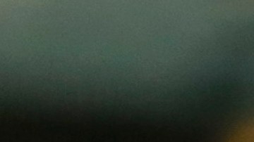 Alan Pulido obtuvo el título de goleo.