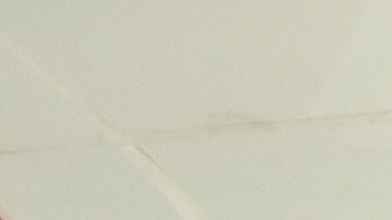 Oficialmente, Ricardo Peláez ya es el director deportivo del Rebaño.