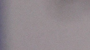 'El flaco' se mostró ilusionado de seguir con el rebaño.