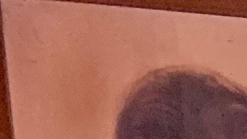 Magdalena Gómez  sostiene su tarjeta de residente en una mano, y en la otra la foto de su esposo, quien a causa de su repentino fallecimiento durante los trámites de residencia, no la pudo obtener. (Araceli Martínez/La Opinión).