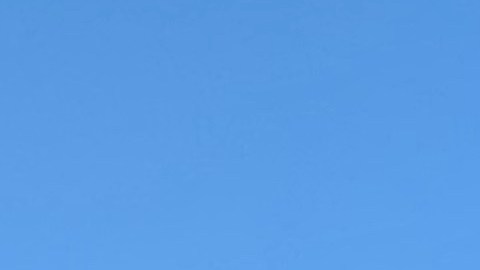 Vicente  Pelayo, uno de los trabajadores afectados con el robo de salarios exige justicia. (Araceli Martínez/La Opinión).