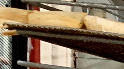 Javier Mejía, uno de los hermanos propietarios de Tamales Alberto, muestra la charola de tamales humeantes. (Araceli Martínez/La Opinión).