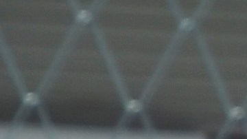 Alejandro Fernandez y Ana Paula Valle en el reciente GP de México de Fórmula 1.