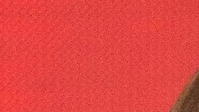 Jenni Rivera y su hijo Johnny López