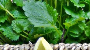 Algunos inmigrantes han recurrido a la venta de jugos para sobrevivir a la pandemia. (Pxhere)