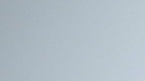 Tessa Thompson y Justin Theroux en la presentación de Lady and the Tramp en Nueva York.