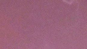 Danna Paola sube a Instagram fotos muy sexys.