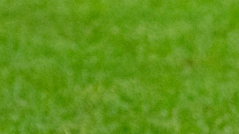 El mercado invernal parece que será duro porque a la puja se sumó el Wolverhampton.