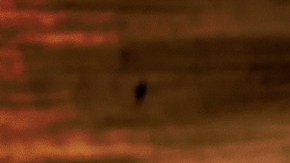 Pensaron que tenía un artefacto explosivo, pero no fue así.