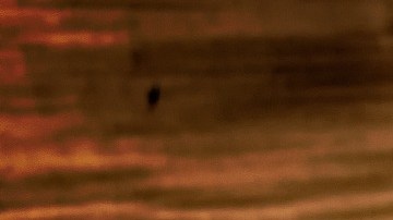 Pensaron que tenía un artefacto explosivo, pero no fue así.