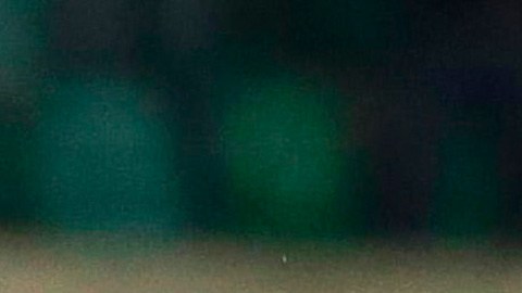 Mario Balotelli , estuvo a punto de abandonar el juego cuando recibió insultos racistas.