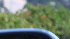 Homicidios en México.