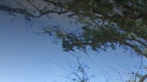 Maurice Gusman Concert Hall