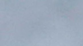 Sofia Richie y Alexa Dellanos.