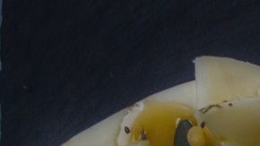 miel-ensalada-pexels