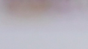 Antonio Mohamed ha sufrido en su regreso a los Rayados.