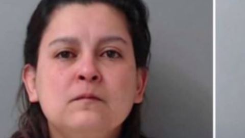 Mónica Domínguez y Gerardo Zavala fueron arrestados en febrero.