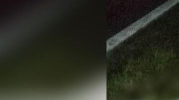 Asesinados en el Estado de México.