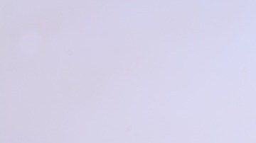 Nuez de brasil-pxhere