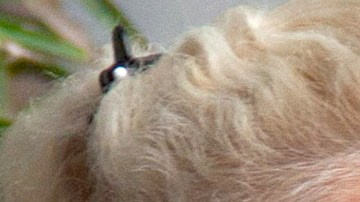 Niurka Marcos y Emilio Osorio