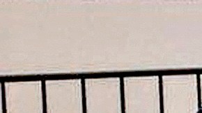 Tragedia en la famiilia LeBaron.