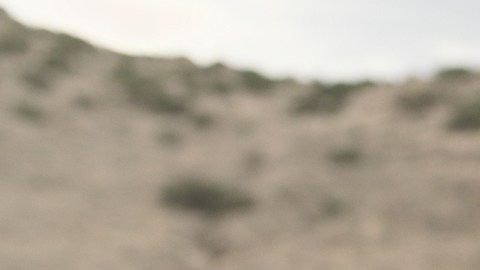 Narcos vs Zombies on Amazon Prime Video