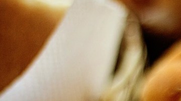 pan-Dominic Alberts-pixabay