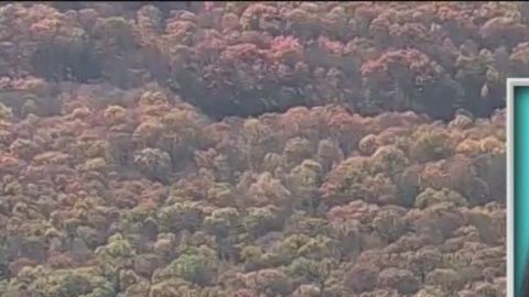 ¿Dónde está Stephanie Parze?