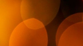 Foto: PublicDomainPictures/Pixabay