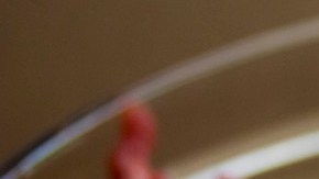 plant-fruit-berry-bowl-dish-meal-1064922-pxhere.com