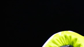 Floyd Mayweather anunció su regreso a los encordados para 2020 así que ya se especula quién será el bueno para enfrentarlo