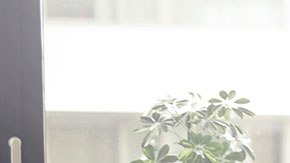 Por alguna de estas razones tus jefes podrían estarte pasando en alto a la hora de los ascensos.