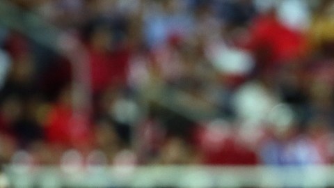 Luis Fernando Tena quiere seguir con Chivas.