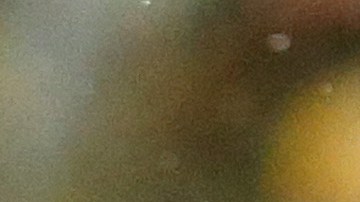 Aaron Rodgers, QB de los Green Bay Packers de la NFL.