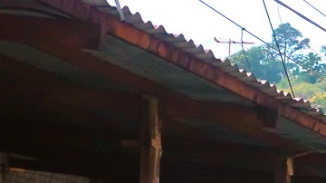 En la Ruta de las Flores, puedes degustar de la comida típida y comprar artesanías. / foto: unique universe.