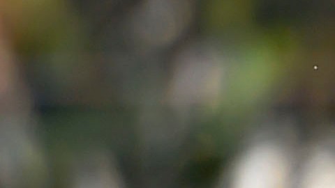 Carlos Salcido y Andres Guardado compartieron muchos años en la Selección Mexicana, como el Mundial Brasil 2014.