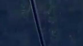 La policía publicó el video y pidió colaboración ciudadano para dar con el agresor.