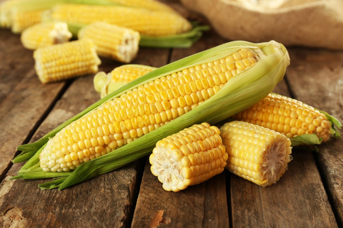 Los beneficios del maíz para mejorar la salud - La Opinión