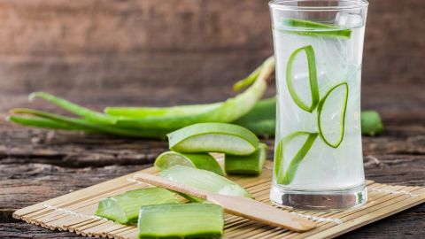 aloe vera