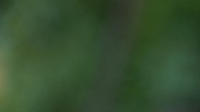 Si presentas el problema, con una actualización podría bastar para volver a la normalidad.