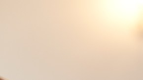 Nunca se imaginó que sería víctima de una trama de mentiras.